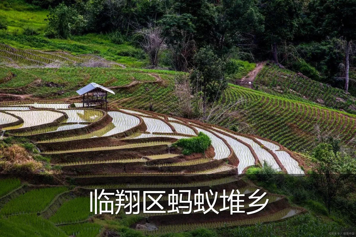 临翔区蚂蚁堆乡