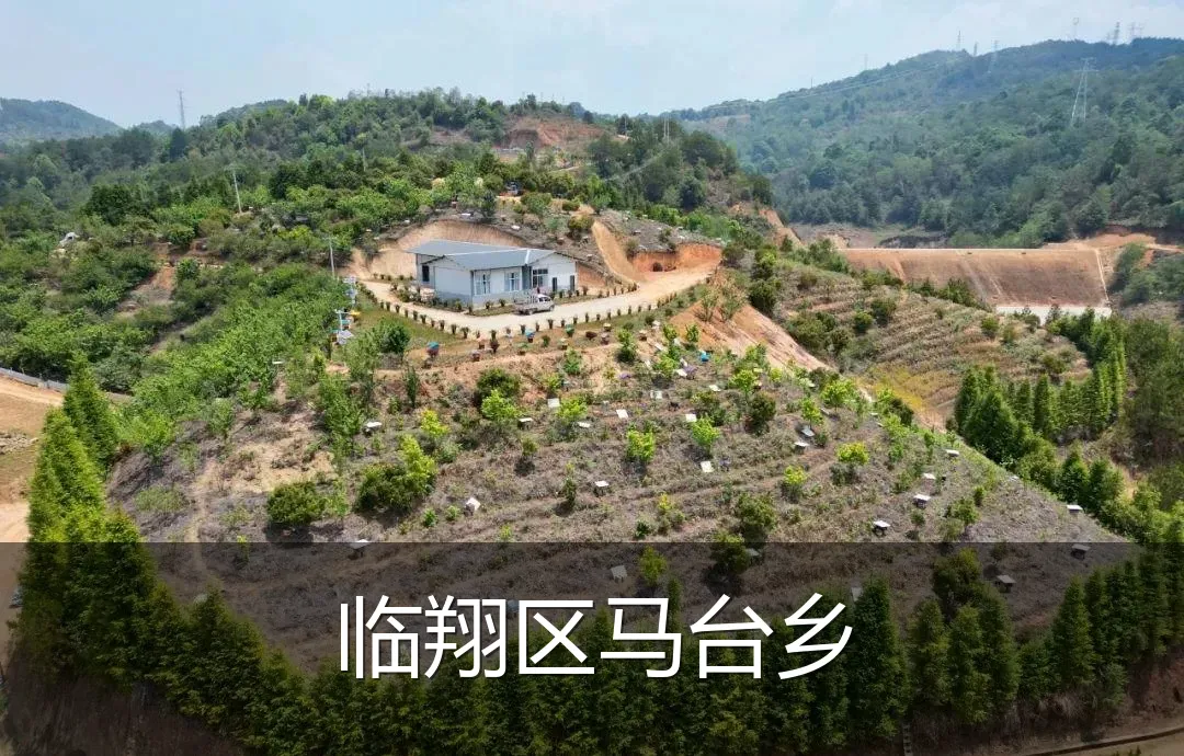 临翔区马台乡
